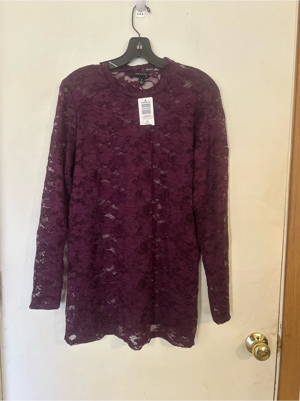 NWT Torrid Size 1 SHEER STRETCH LACE MOCK NECK LONG SLEEVE TOP